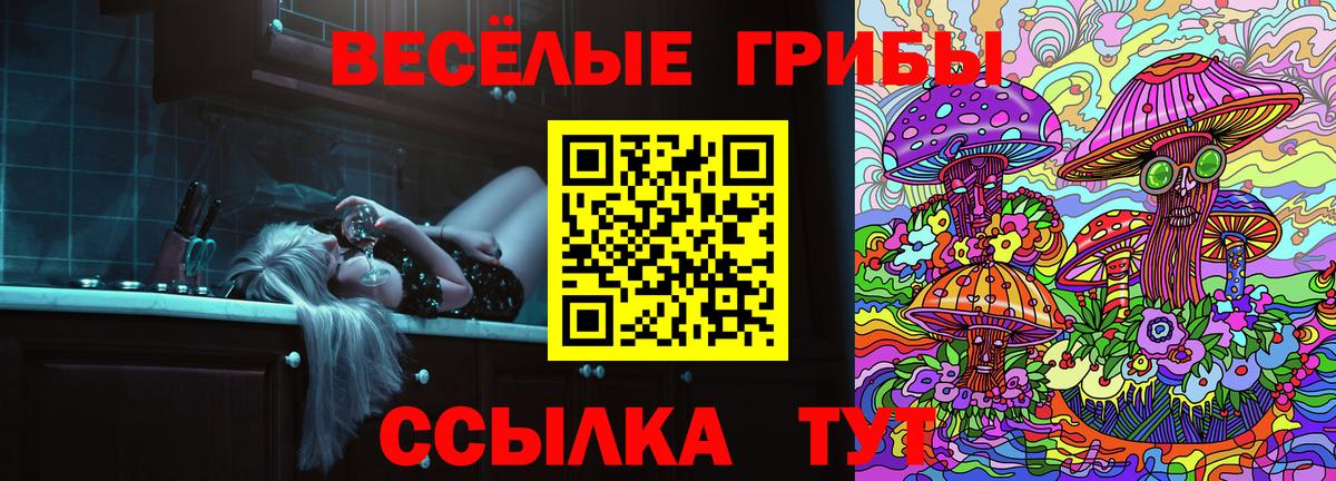 Псилоцибиновые грибы прущие грибы Нерюнгри