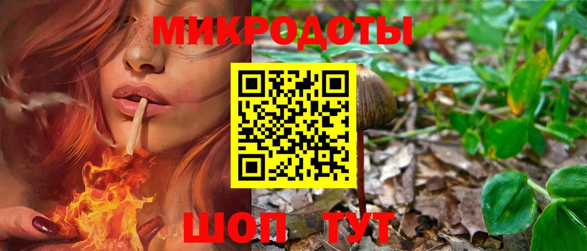 Нерюнгри  Псилоцибиновые грибы GOLDEN TEACHER  Вход с VPN 